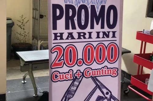 Jenis-Jenis Bahan X Banner Terbaik untuk Kebutuhan Promosi